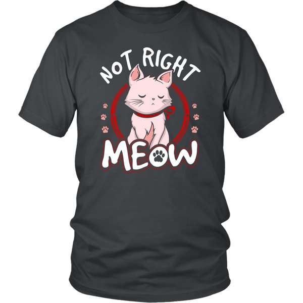 Not Right Meow- Shirts, Long Sleeve, Hoodie, Tanks, Sweatshirt