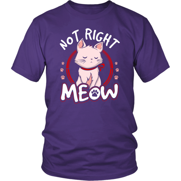 Not Right Meow- Shirts, Long Sleeve, Hoodie, Tanks, Sweatshirt